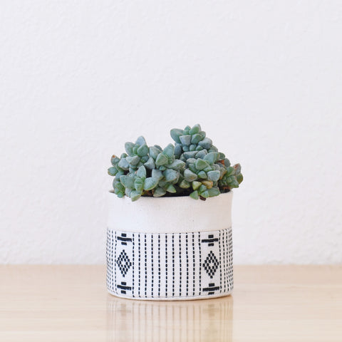 Small Natural Canvas Sitting Planter  |  White