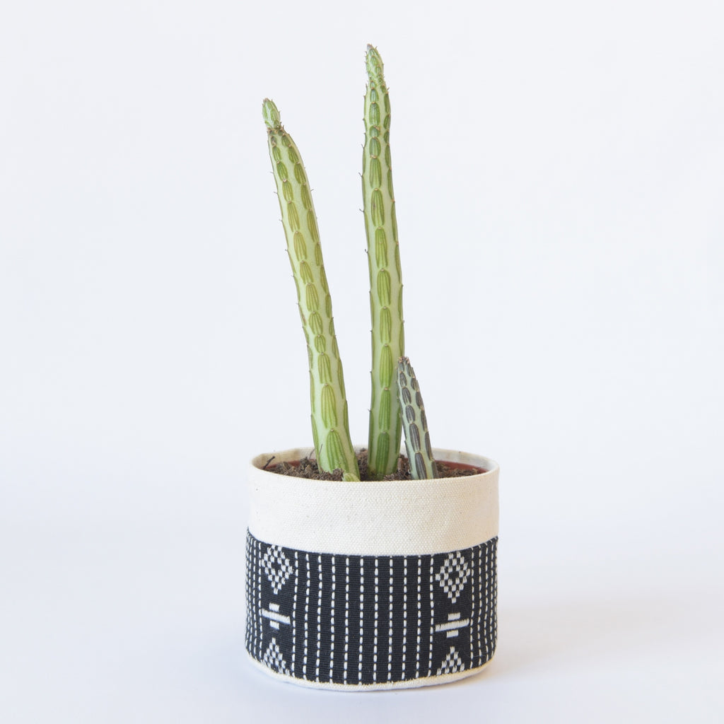 Small Natural Canvas Sitting Planter  |  Black