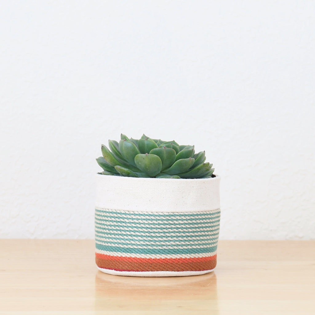Small Natural Canvas Sitting Planter  |  Red + Blue 02
