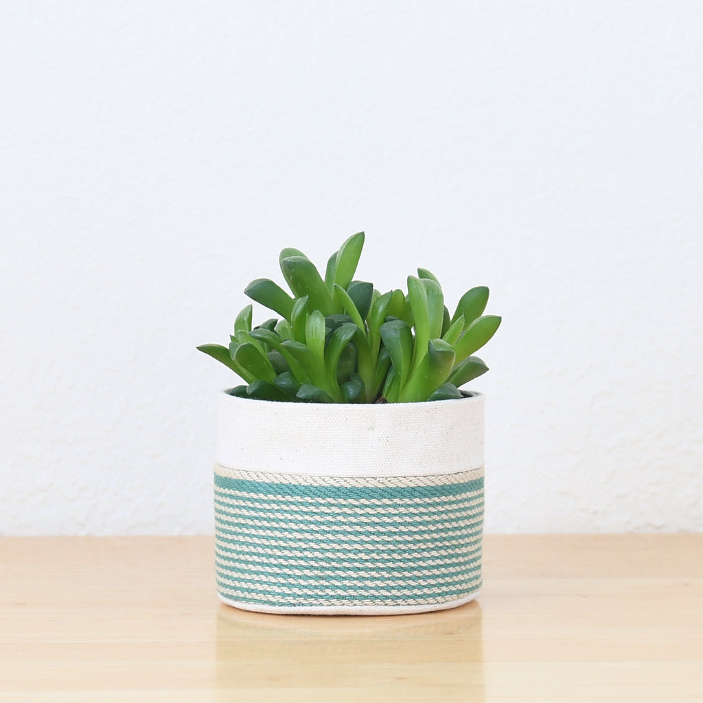 Small Natural Canvas Sitting Planter  |  Red + Blue 04-1