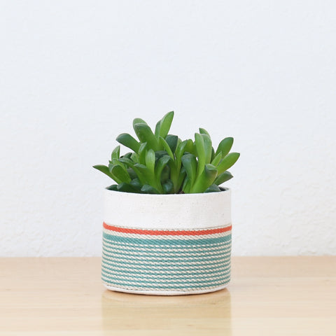 Small Natural Canvas Sitting Planter  |  Red + Blue 04-2