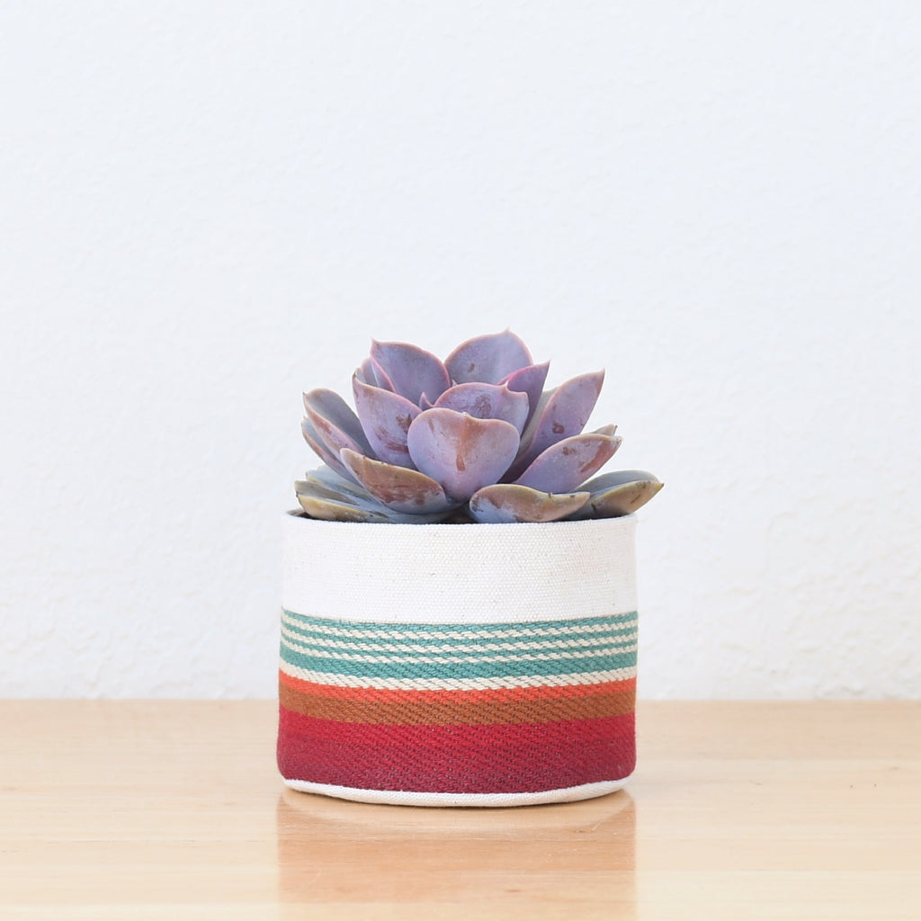 Small Natural Canvas Sitting Planter  |  Red + Blue 05