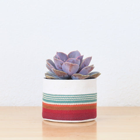 Small Natural Canvas Sitting Planter  |  Red + Blue 05