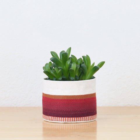 Small Natural Canvas Sitting Planter  |  Red + Blue 06