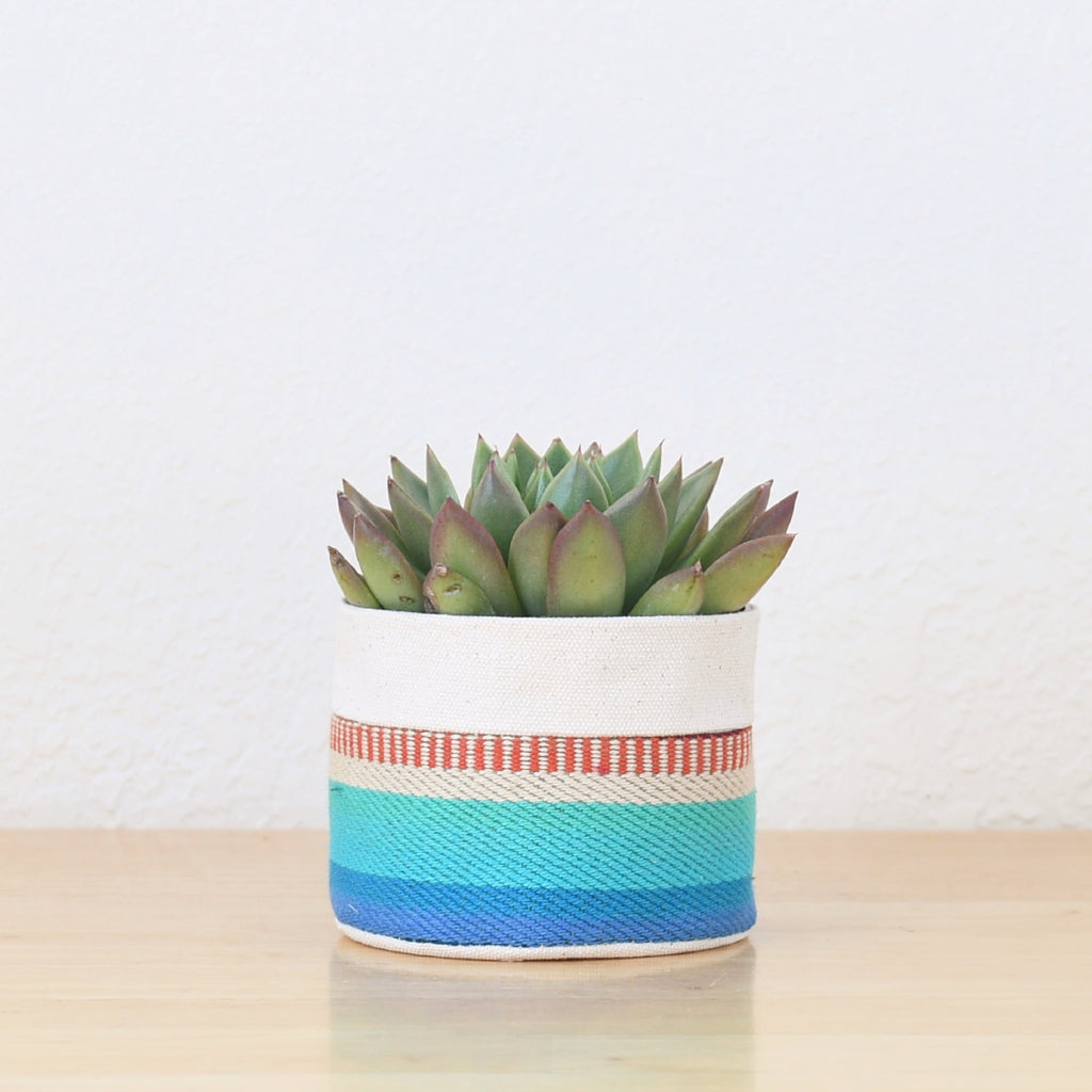 Small Natural Canvas Sitting Planter  |  Red + Blue 07