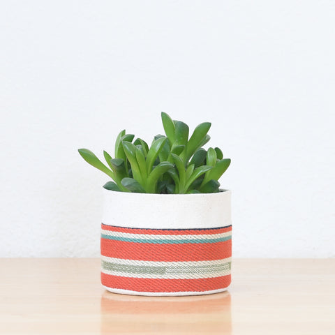 Small Natural Canvas Sitting Planter  |  Red + Blue 01