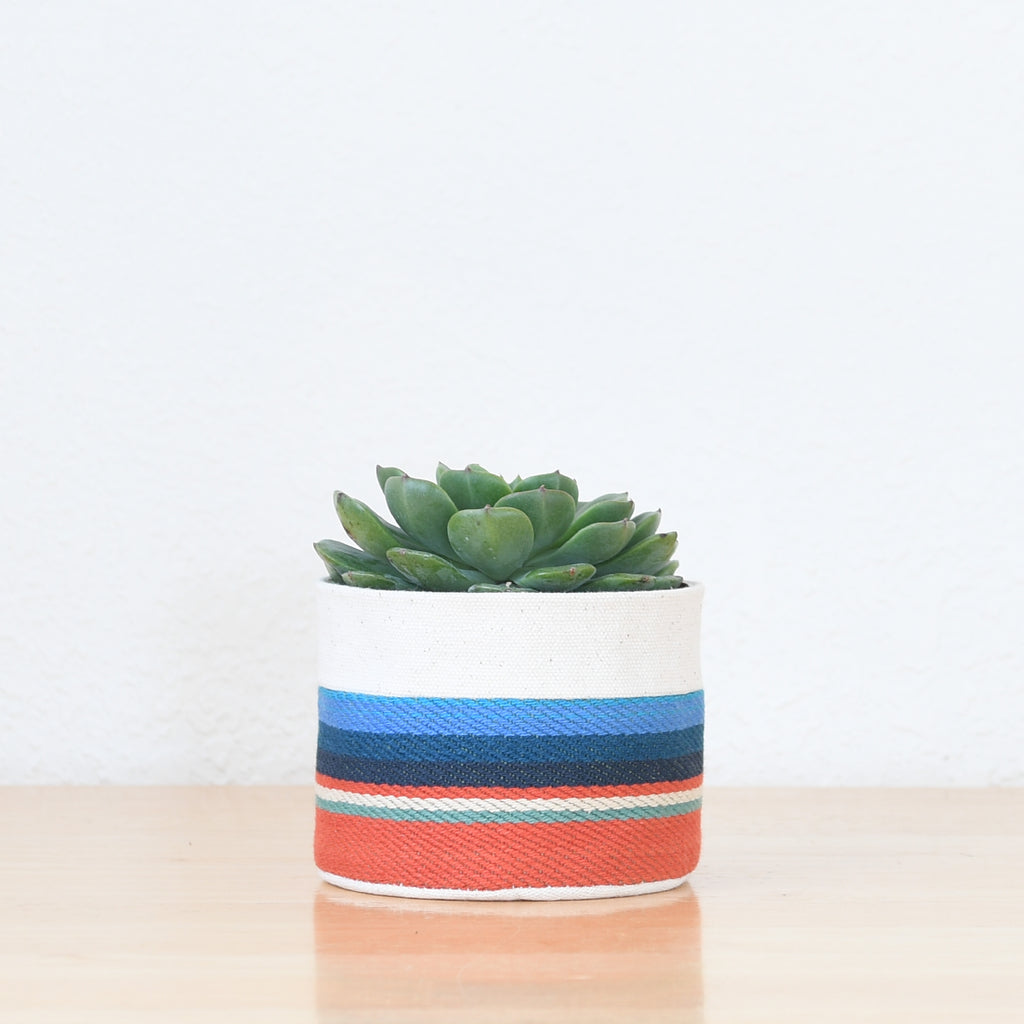 Small Natural Canvas Sitting Planter  |  Red + Blue 10