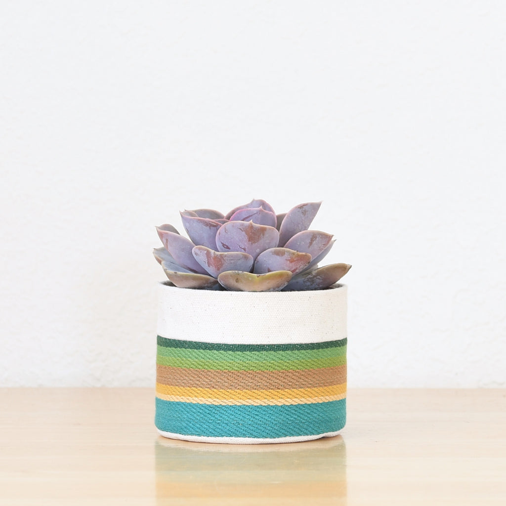 Small Natural Canvas Sitting Planter  |  Turquoise 03