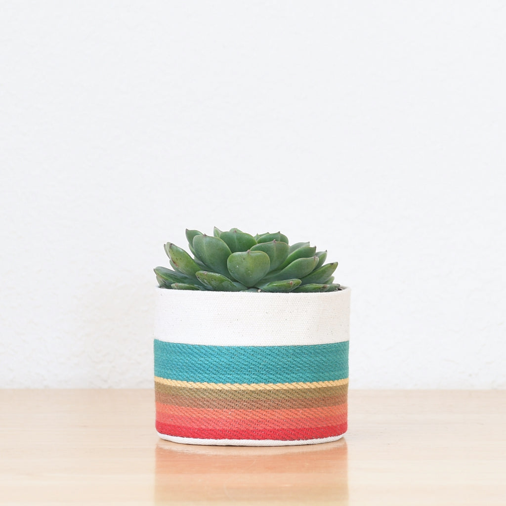 Small Natural Canvas Sitting Planter  |  Turquoise 06