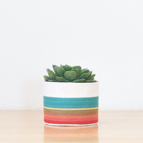 Small Natural Canvas Sitting Planter  |  Turquoise 06