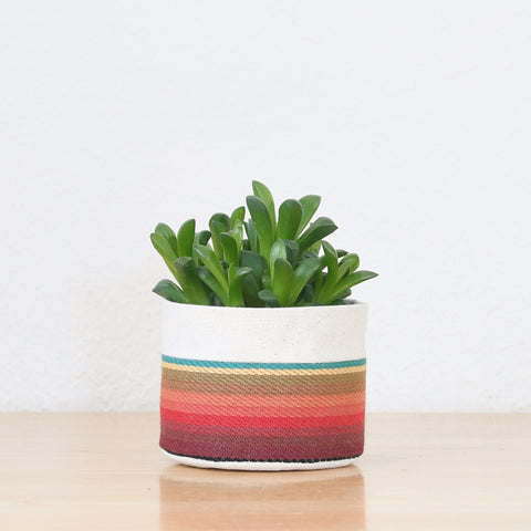 Small Natural Canvas Sitting Planter  |  Turquoise 08