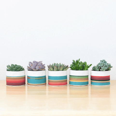 Small Natural Canvas Sitting Planter  |  Turquoise 04