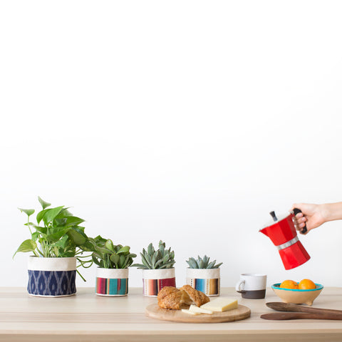 Planters