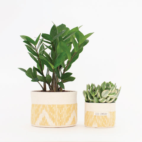 Medium Natural Canvas Sitting Planter | Turquoise