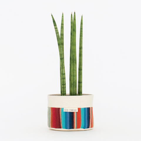 Custom Canvas Planter | Hanging or Sitting