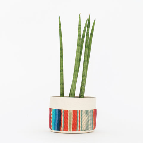 Custom Canvas Planter | Hanging or Sitting