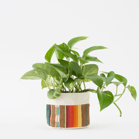 Medium Natural Canvas Sitting Planter | Orange