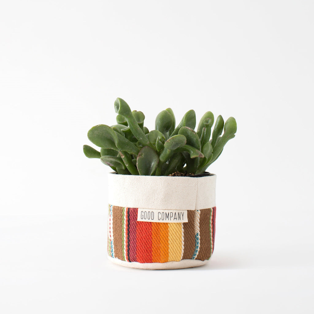 canvas planter pots Canvas Fabric Planter Basket with Plastic Pot + Saucer