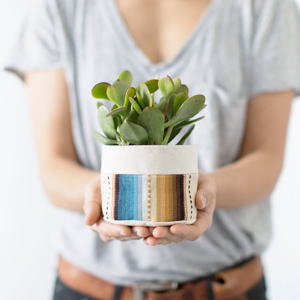 indoor plant pots baskets Canvas Fabric Planter Basket with Plastic Pot + Saucer