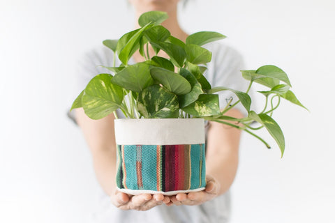 round canvas cotton fabric planter containers with plastic pots and saucers handmade in california corporate gifts wedding gifts event planning home garden