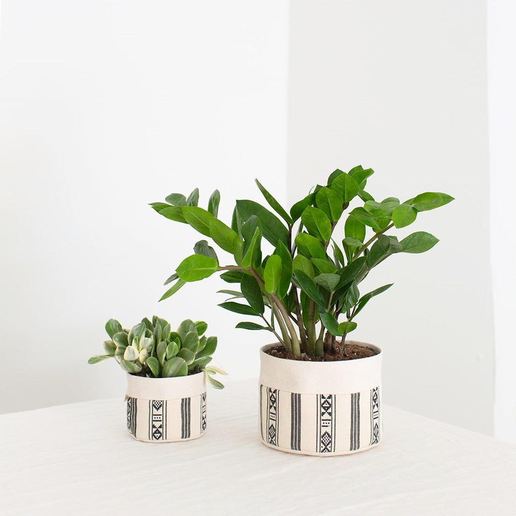 canvas planter pots Canvas Fabric Planter Basket with Plastic Pot + Saucer