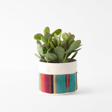 Small Natural Canvas Sitting Planter  |  Turquoise