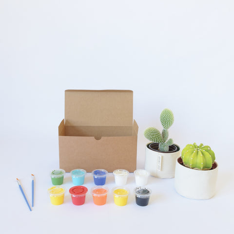 Blank Canvas Planter Box Set
