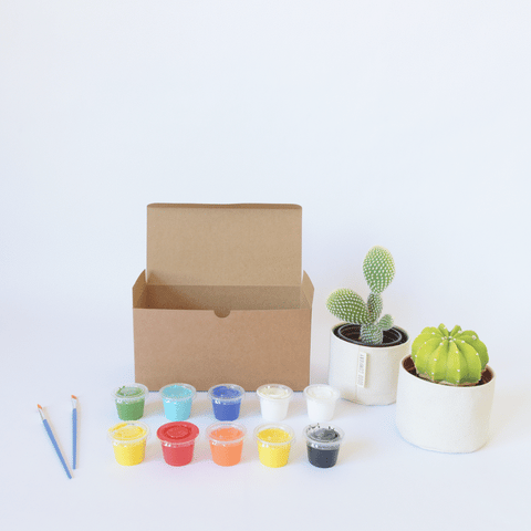 Blank Canvas Planter Box Set