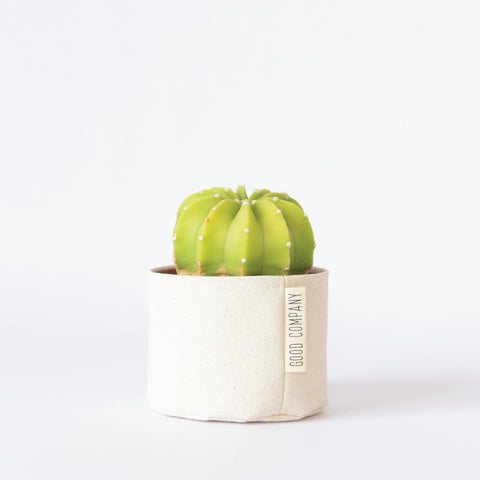 Blank Canvas Sitting Planter