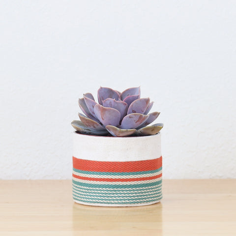 Small Natural Canvas Sitting Planter  |  Red + Blue 03