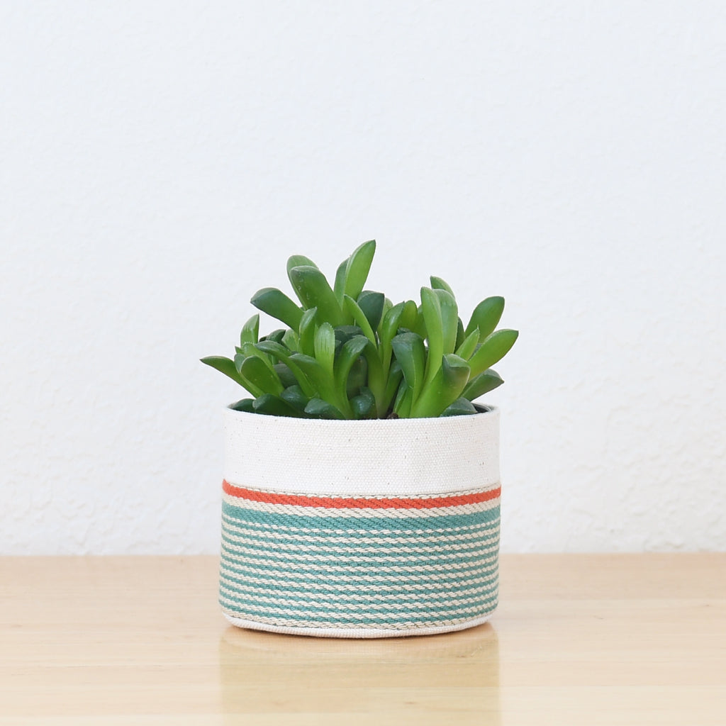 Small Natural Canvas Sitting Planter  |  Red + Blue 04-2