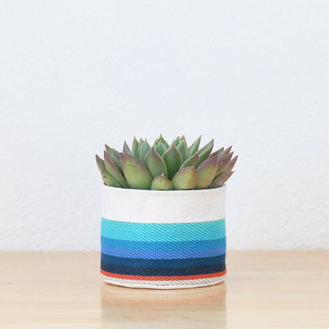 Small Natural Canvas Sitting Planter  |  Red + Blue 08