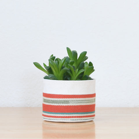 Small Natural Canvas Sitting Planter  |  Red + Blue 01