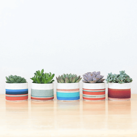 Small Natural Canvas Sitting Planter  |  Red + Blue 10