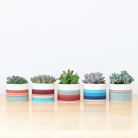 Small Natural Canvas Sitting Planter  |  Red + Blue 04-2
