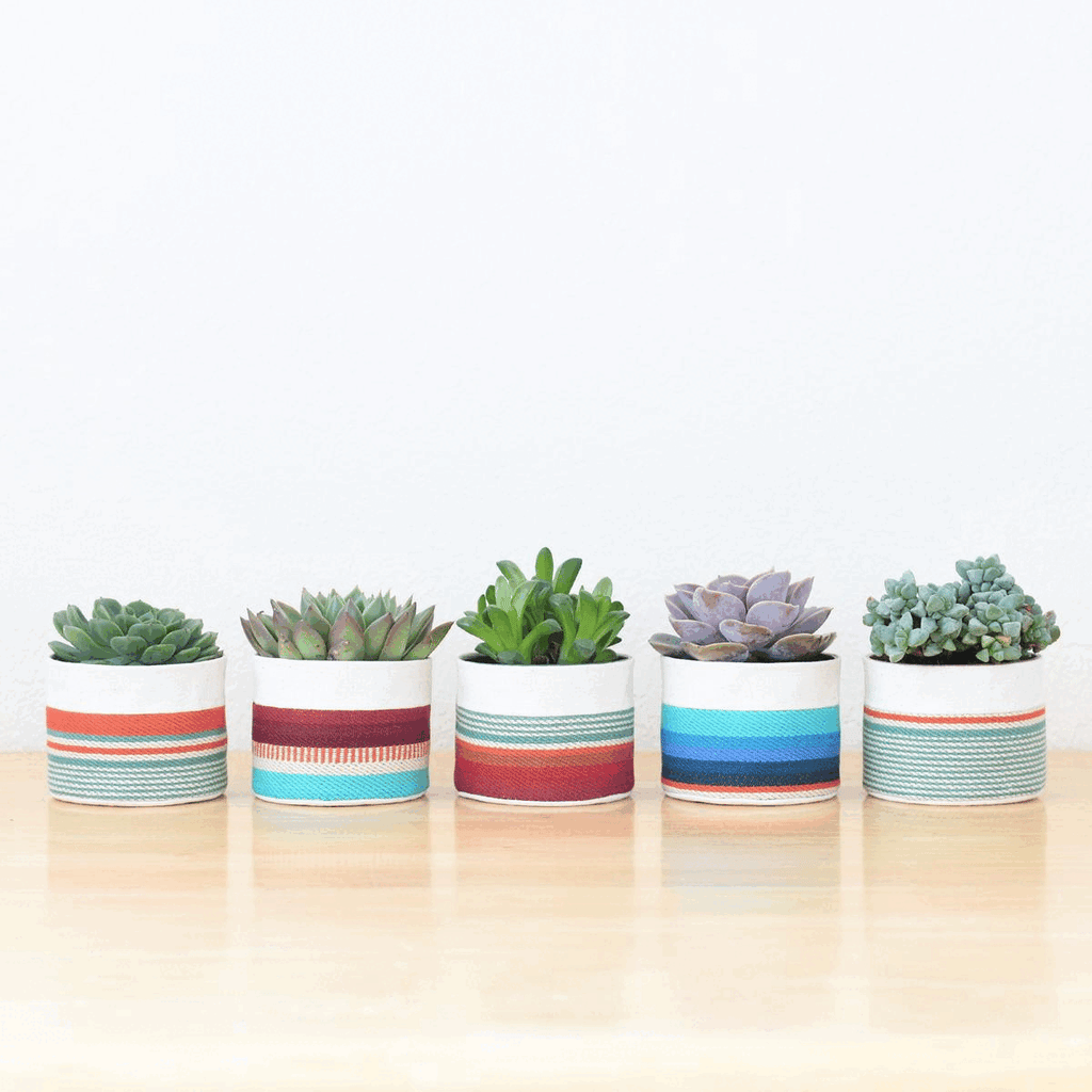 sitting planter pot Canvas Fabric Planter Basket with Plastic Pot + Saucer