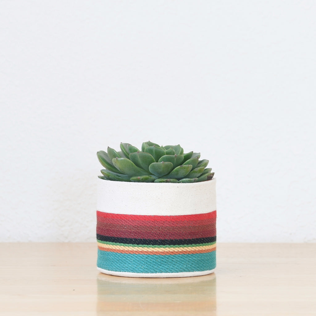 Small Natural Canvas Sitting Planter  |  Turquoise 07